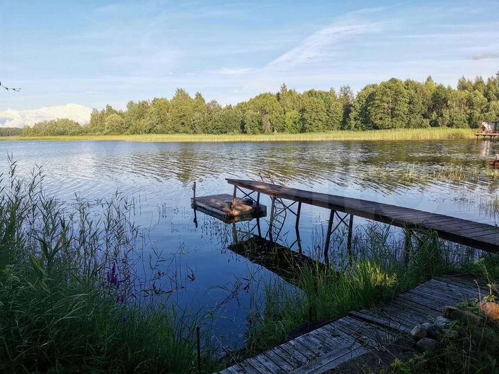 Дом 52 м² на участке 11,6 сот.