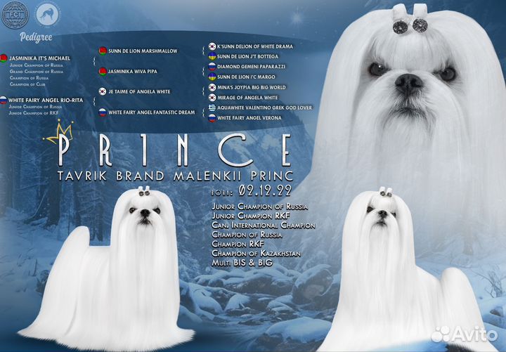 Корея мальчик