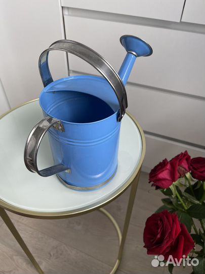 Лейка садовая металлическая