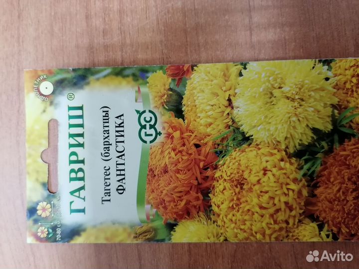 Тагетес (шафран)