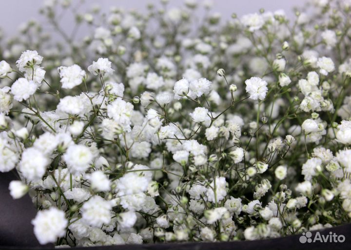 Доставка цветов