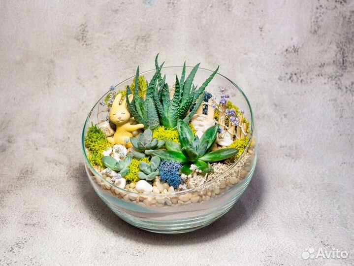 Флорариум зайка