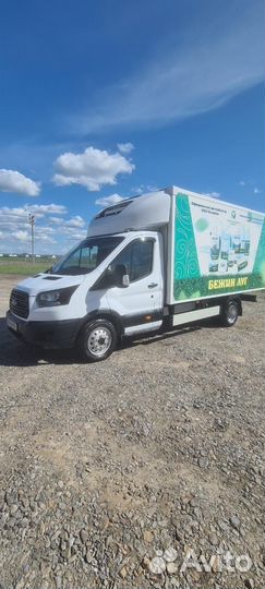Ford Transit рефрижератор, 2019