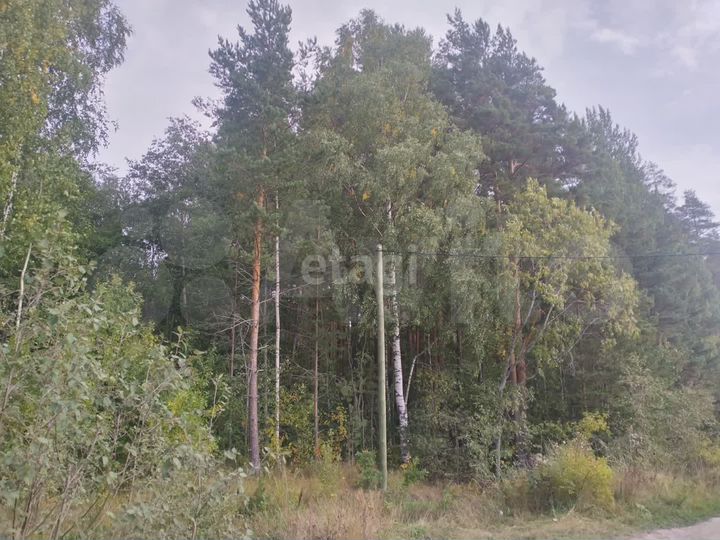 Участок 10 сот. (ИЖС)