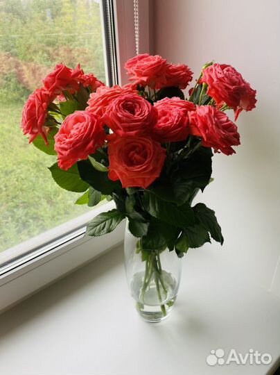 Ваза для цветов икеа новая