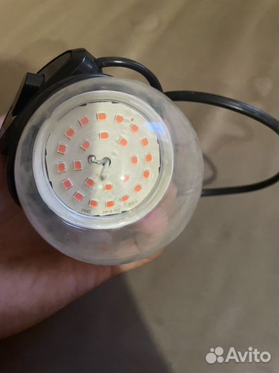 Ультрафиолетовая лампа