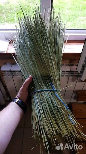 Трава зубровка