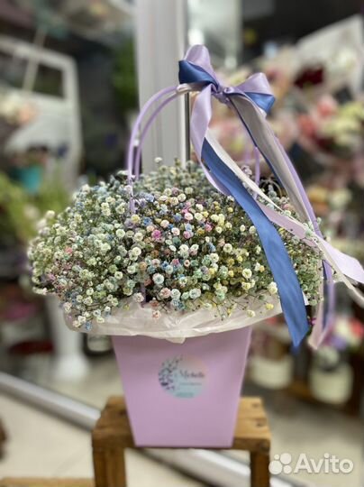 Цветы гипсофила