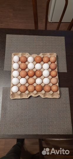 Яйцо куриное домашнее