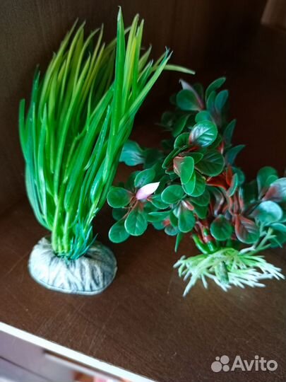 Все для аквариума