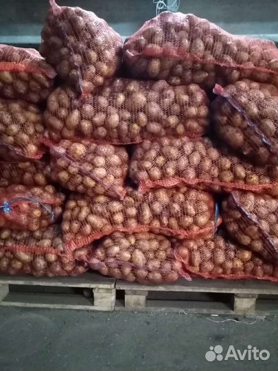 Продукты питания