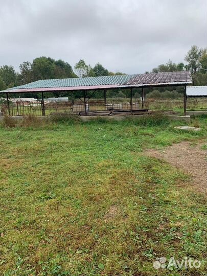 Животноводческая ферма