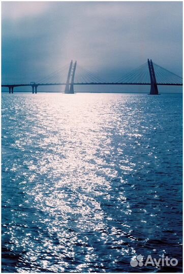 Цветная пленка Fuji Eterna Vivid 160T 35 мм