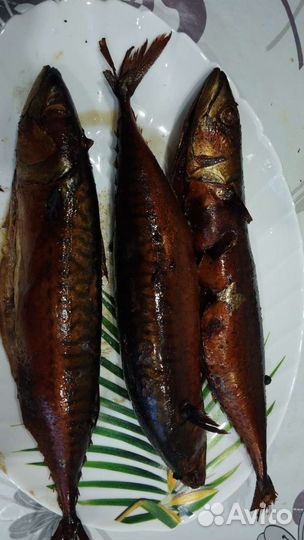 Рыба домашнего горячего копчения на заказ