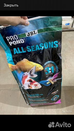 Растения для пруда