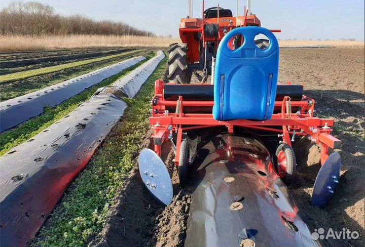 Грядообразователь, 2023