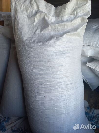 Семена подсолнечника Енисей