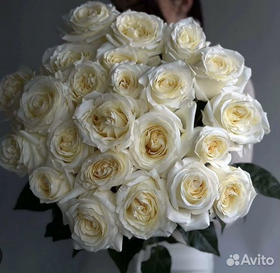 Розы эквадор Тюльпаны Мелкий Опт Розница Доставка