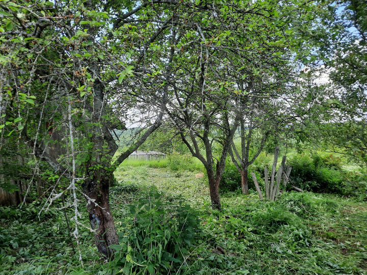 Участок 1,5 га (ИЖС)