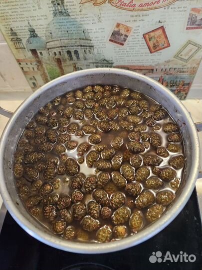 Карельское варенье из сосновых шишек