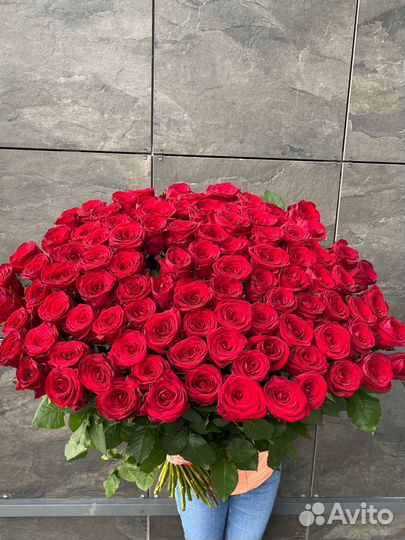 Роза красная 100 см 101шт букет с беспл доставкой