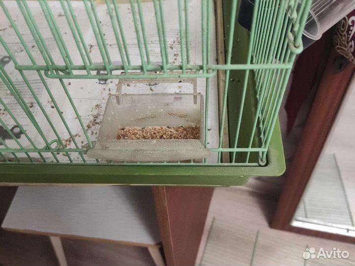 Клетка для попугая