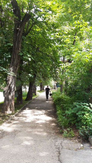 2-к. квартира, 21,3 м², 1/2 эт.