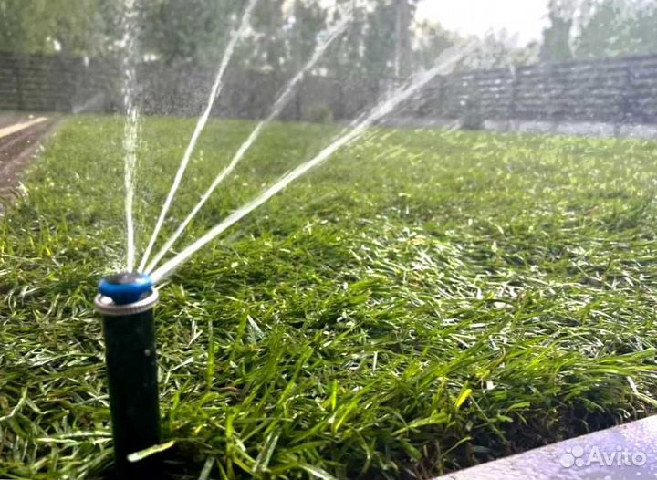 Рулонный газон