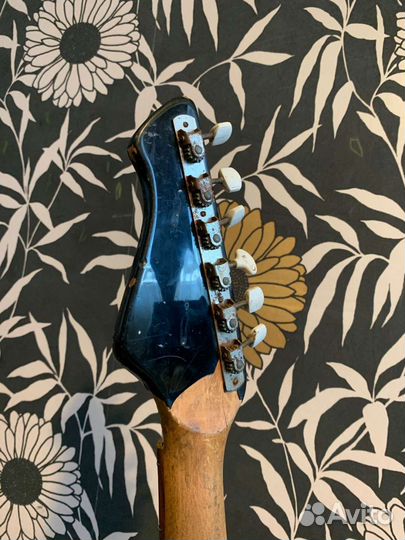 Гитара Тоника