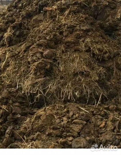 Навоз, помет