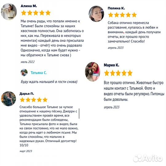 Догситтер, передержка кошек, передержка собак