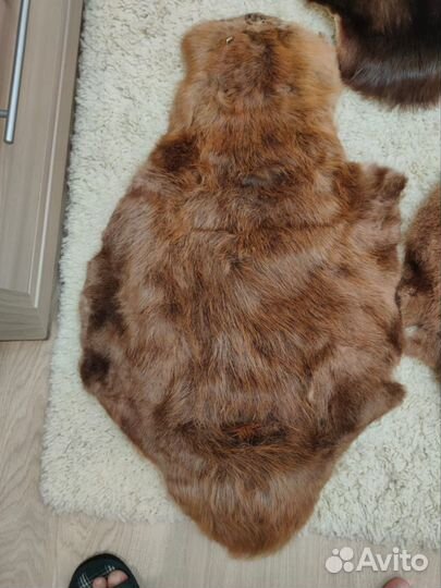 Шкура барсука