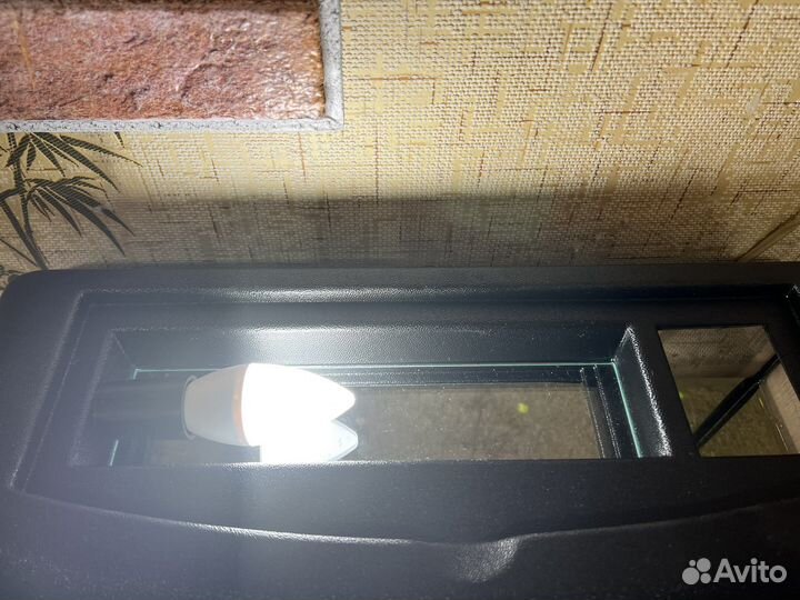 Аквариум с рыбкой петушок