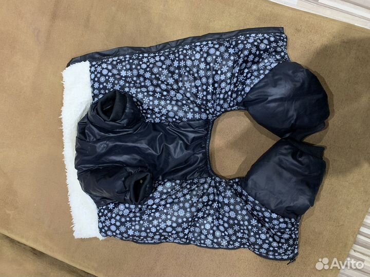 Костюм для собаки