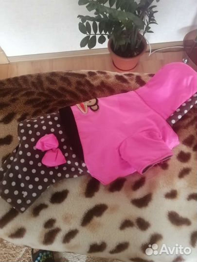 Одежда для маленьких собак