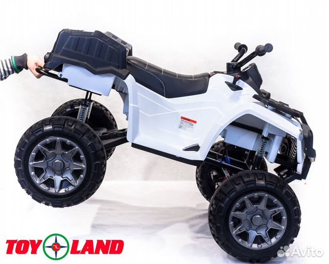 Электроквадроцикл 0909 Grizzly Next 4x4