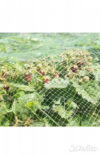 Сетка от птиц