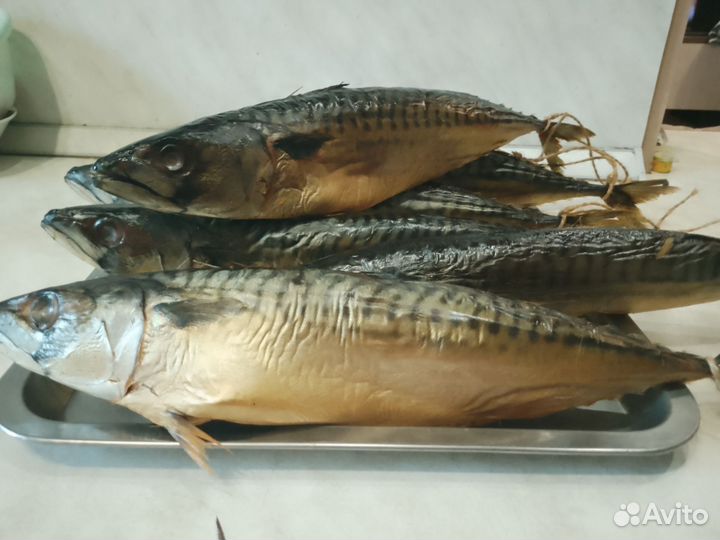 Рыба скумбрия холодного копчения