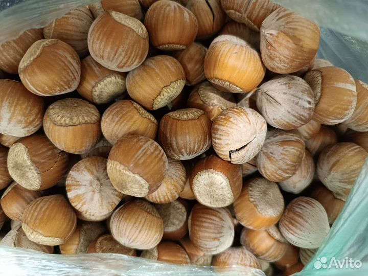 Орехи в наличии и под заказ