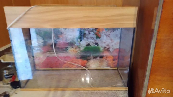 Аквариум