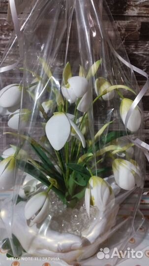 Подснежники ночник