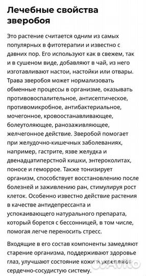 Зверобой. Сбор 2023 г