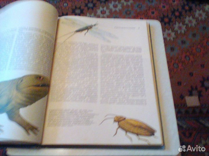 Вуд.Вачек.Жизнь до человека.1977 год