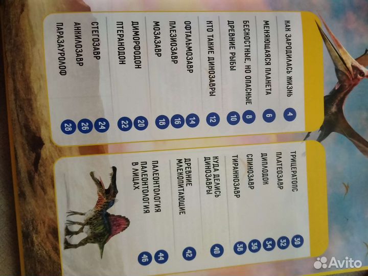 Книга Динозавры