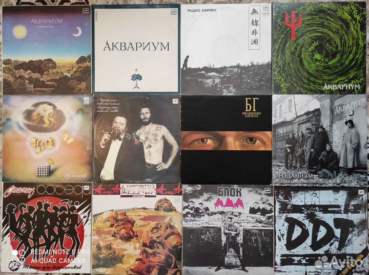 Калинов мост Воскресенье Зоопарк Кино Ддт Алиса