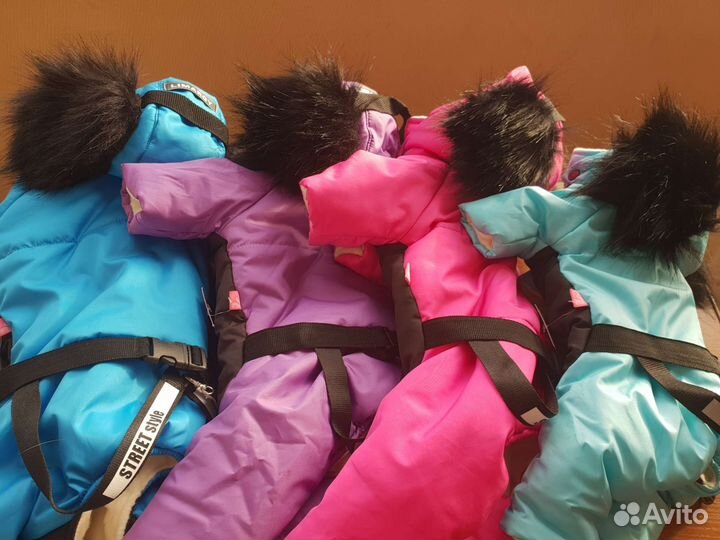 Одежда для собак