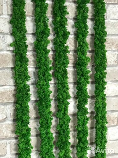 Рейки из стабилизированного мха ягеля