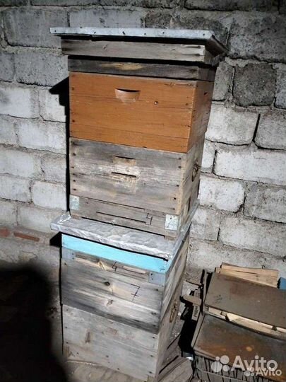 Продам ульи для пчел