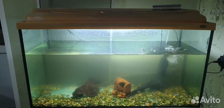 Аквариум с тумбой