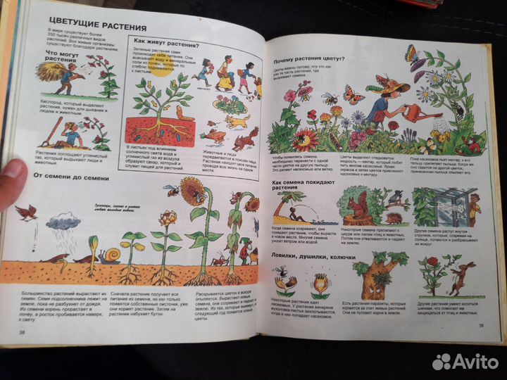 Детская энциклопедия